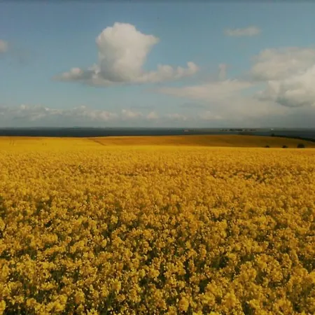 Maison d'hôtes Andelen
