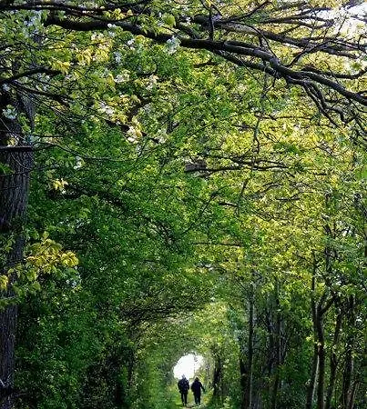 Andelen Maison d'hôtes Ærøskøbing